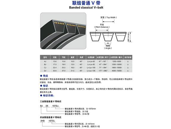 bandedc classical v belt